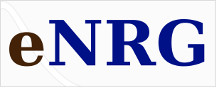 NRG Consulting logo